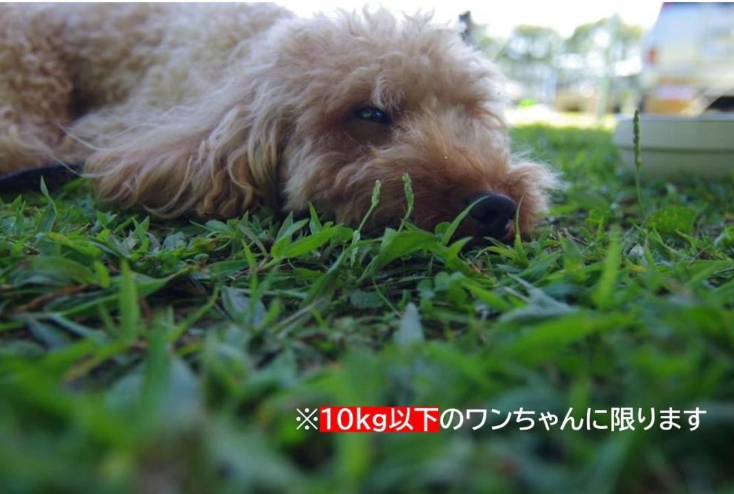 فندق Picnic　Garden Awaji المظهر الخارجي الصورة
